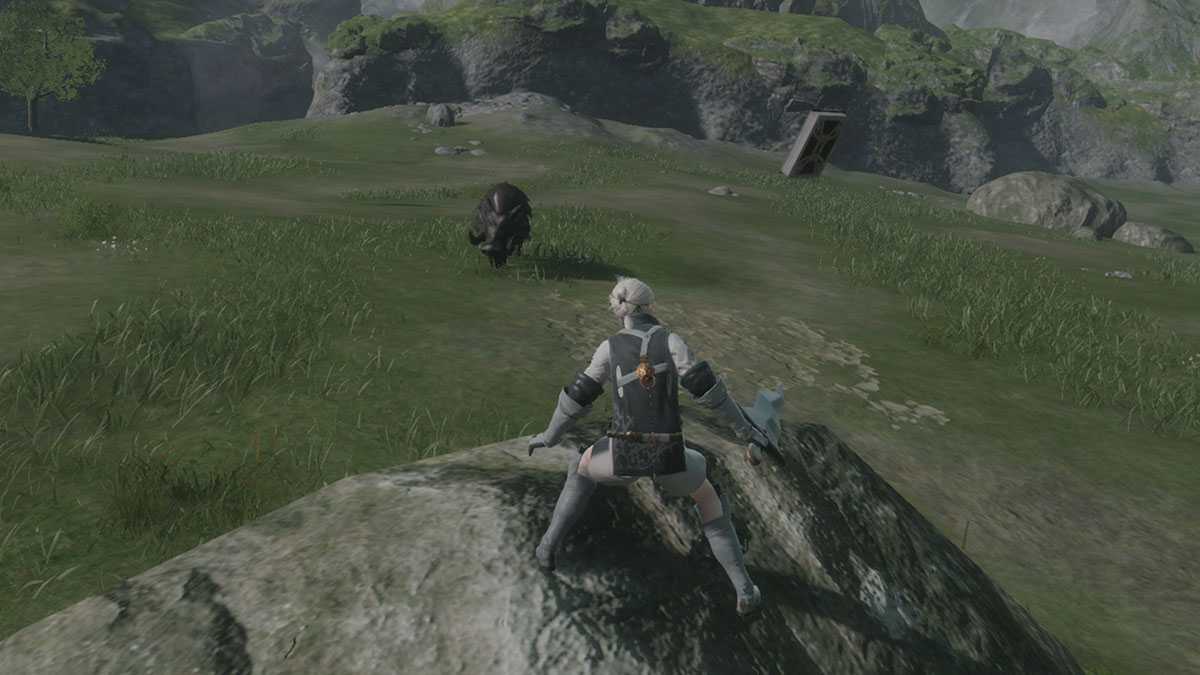 Nier Replicant Boar Hunt任务指南–如何找到并杀死野猪