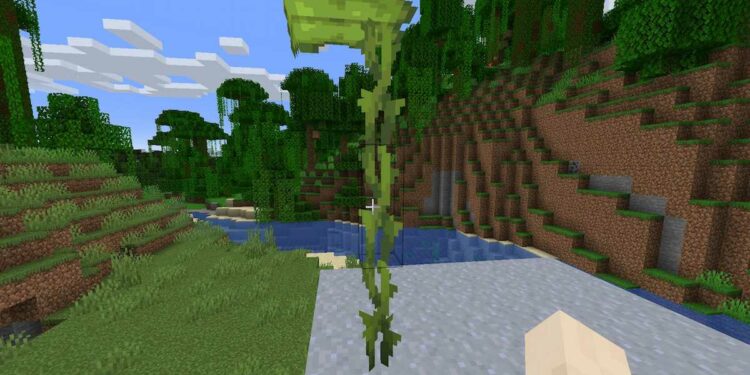 你能在minecraft 中种植一个小滴叶吗