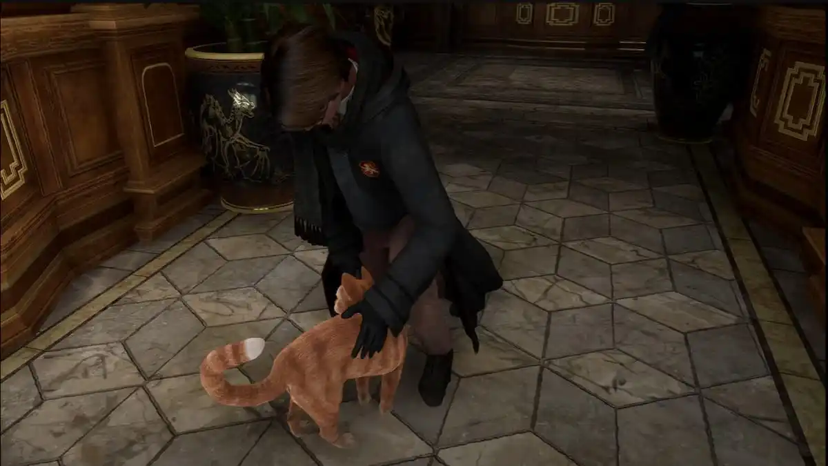Can you have pets or familiars in Hogwarts Legacy?