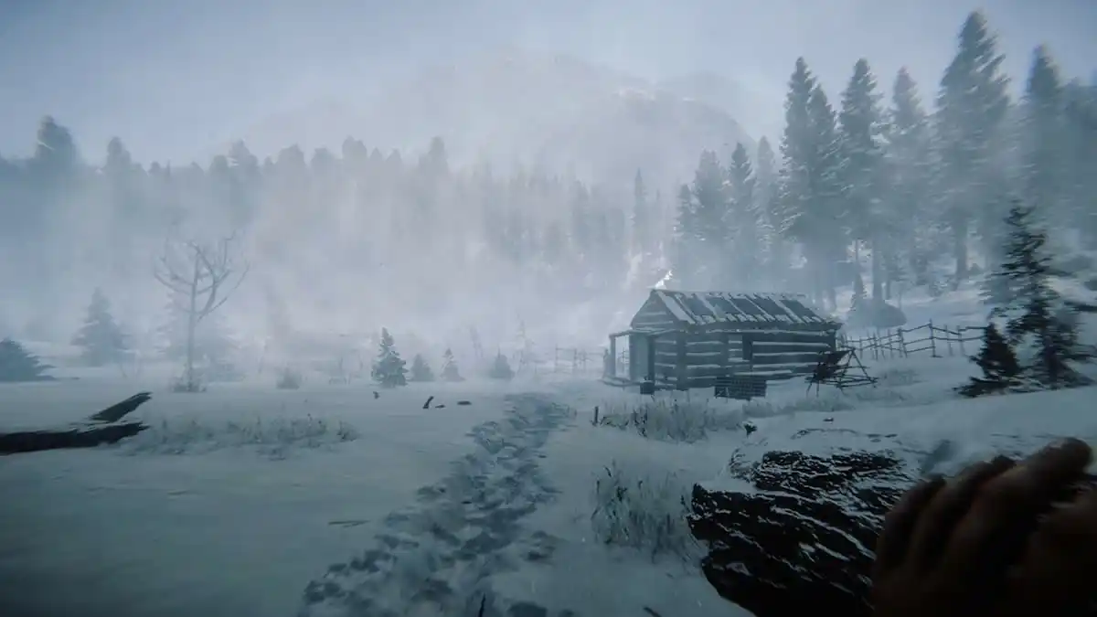 How to survive winter in Sons of the Forest