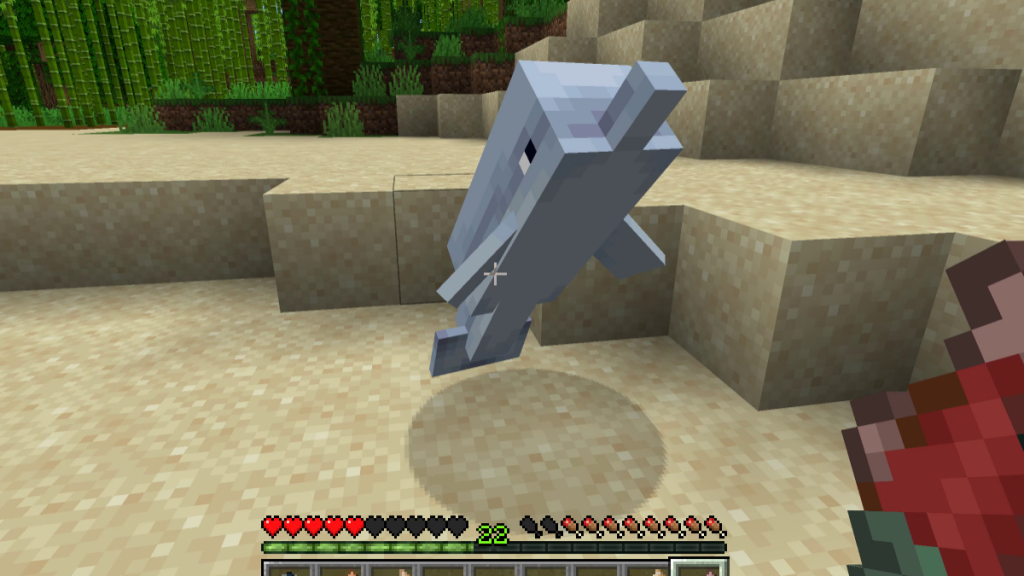 在 Minecraft 中喂养搁浅的海豚