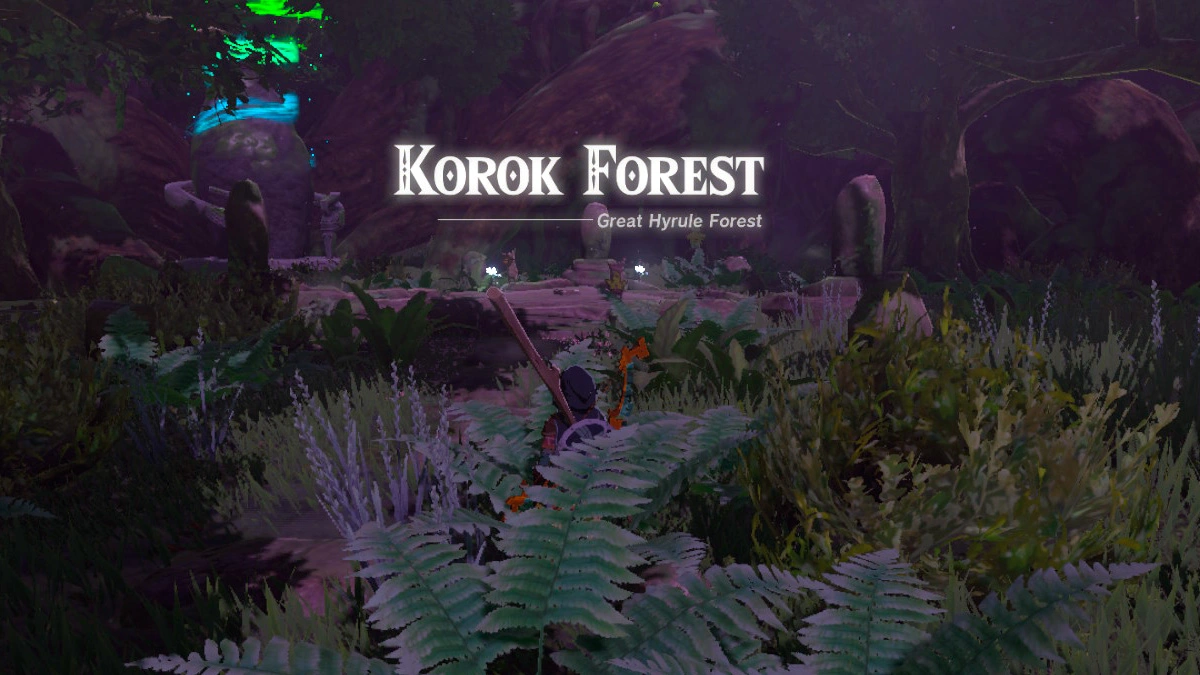 Tears of the Kingdom: How to Find The Korok Forest