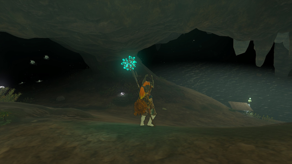 Zelda_Tenmaten_Shrine_Cave