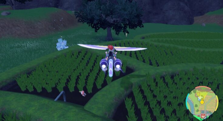 How To Unlock Koraidon & Miraidon Flying Ability In Pokemon Scarlet & Violet
